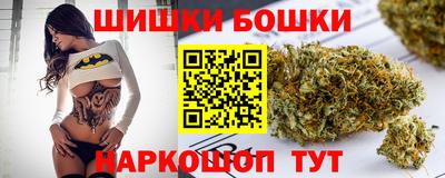 jwh Ставрополь