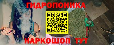 jwh Ставрополь