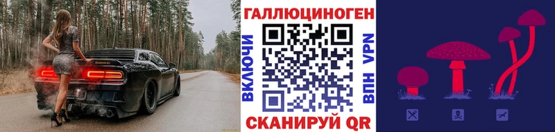 хочу   Сочи  kraken tor  Псилоцибиновые грибы Psilocybe 