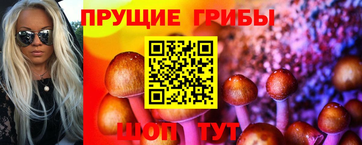 где купить наркоту  Вход с VPN  Сочи  Псилоцибиновые грибы мицелий 